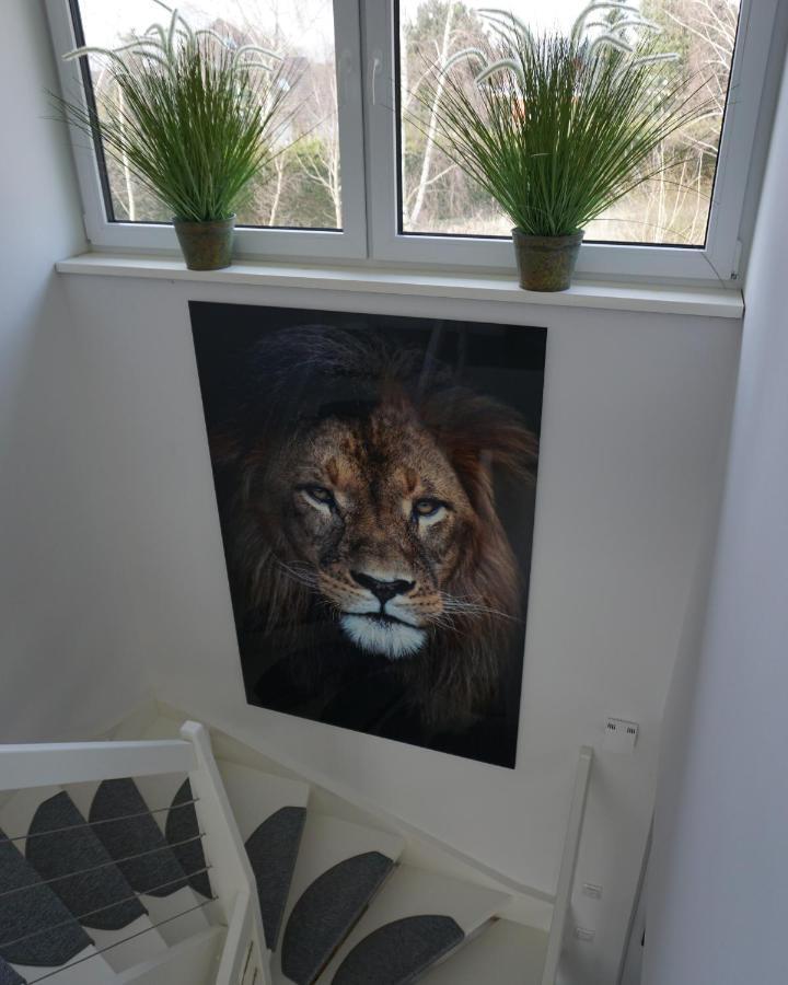 Ferienhaus Marny Trassenheide Bagian luar foto